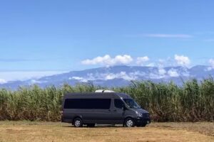 Kailani Tours Hawaii