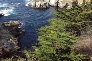 Karl’s Kruise & Travel