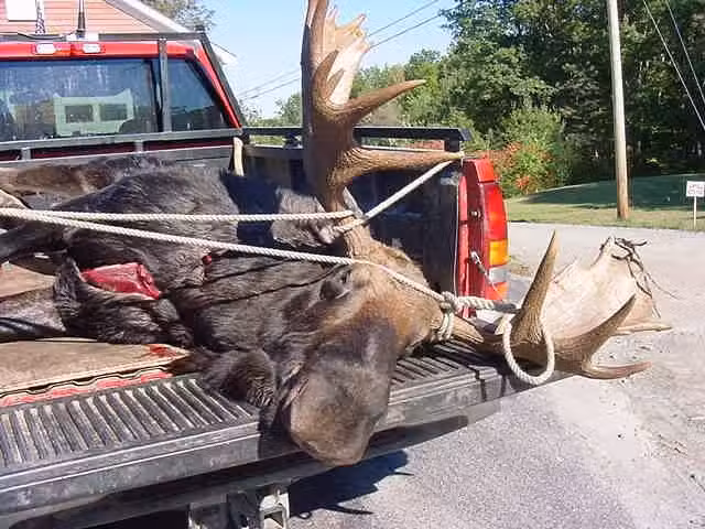 Katahdin Region Wilderness Guide Service