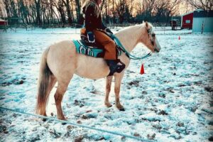 Katy’s Corral, LLC