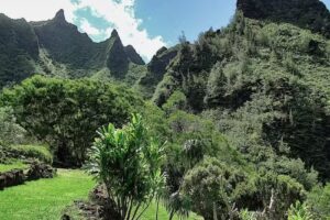 Kauai Visitors Bureau