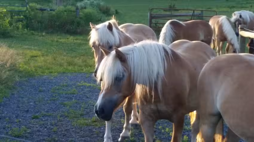 Kay Parker Tour & Travel