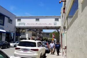 Kayak Rentals & Tours