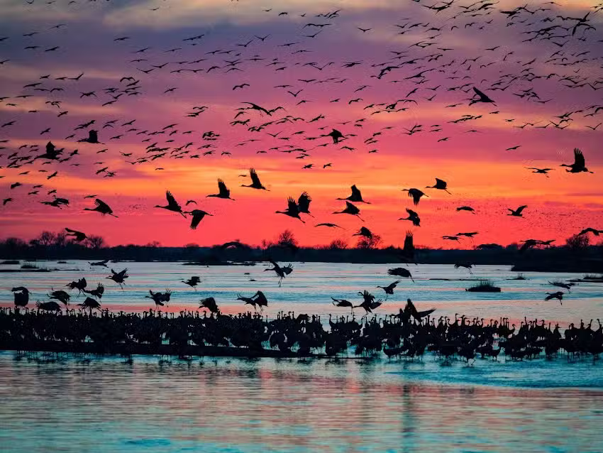 Kearney Welcome Center