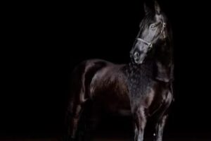 Keith Equestrian Center