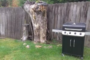 Kellogg Vacation Homes