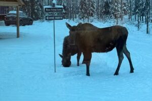 Kenai Adventure Cabins