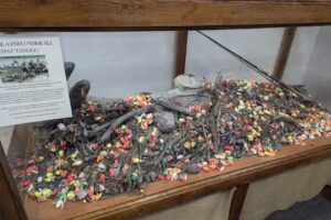 Kenai Chamber of Commerce and Visitors Center