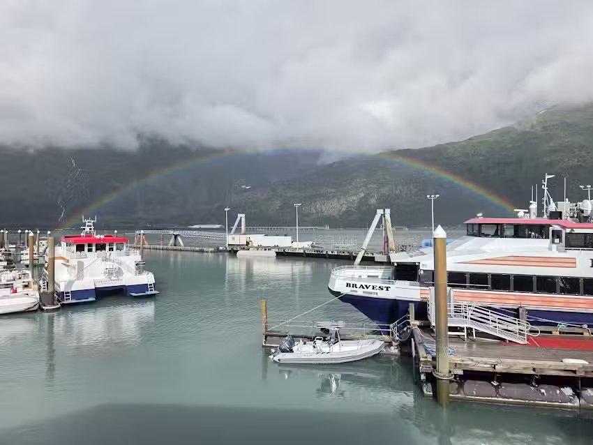 Kenai Fjords Cruise by Phillips Cruises & Tours