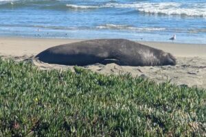 Kenneth C. Patrick Visitor Center