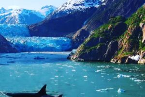 Ketchikan Adventures