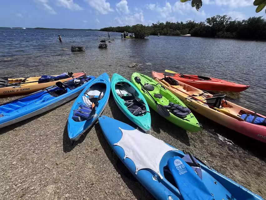 Key Largo Water Fun Private Snorkel, Sandbar, Sunset, and Kayak Tours