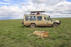 Kiboko Safaris: Africa Wildlife Safari-Luxury Safari and Budget Safari