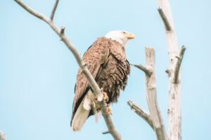 King For A Day Campground & Charters