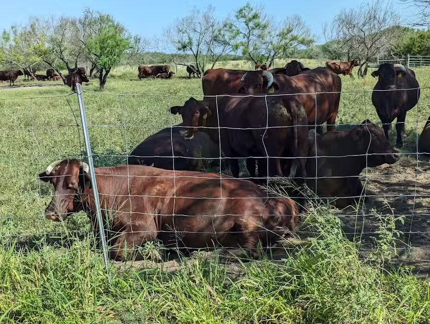 King Ranch Visitor Center