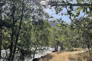 Kings River Expeditions