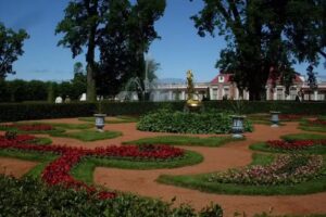 KnockOut Travel Experience