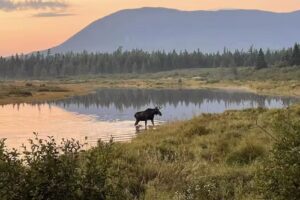Kokadjo Camps & Trading Post
