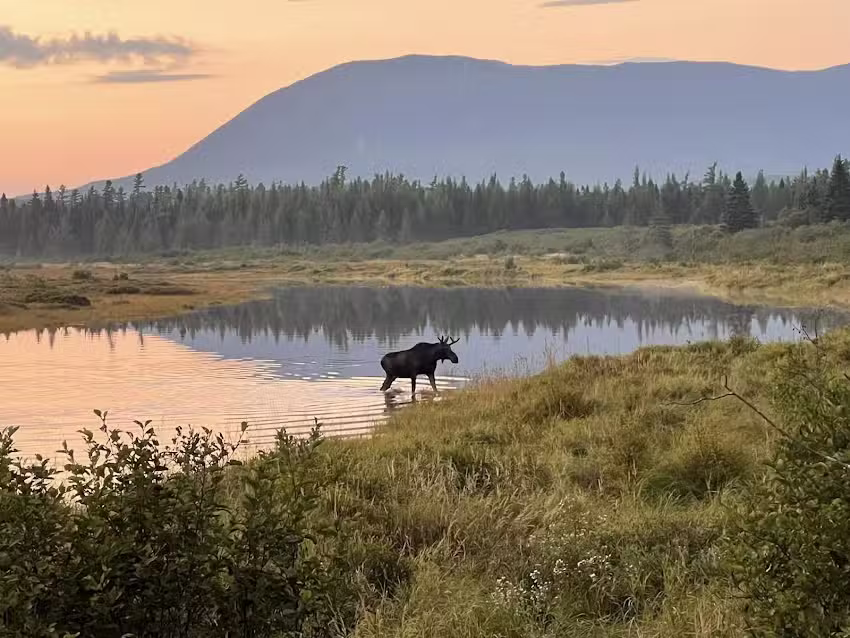 Kokadjo Camps & Trading Post