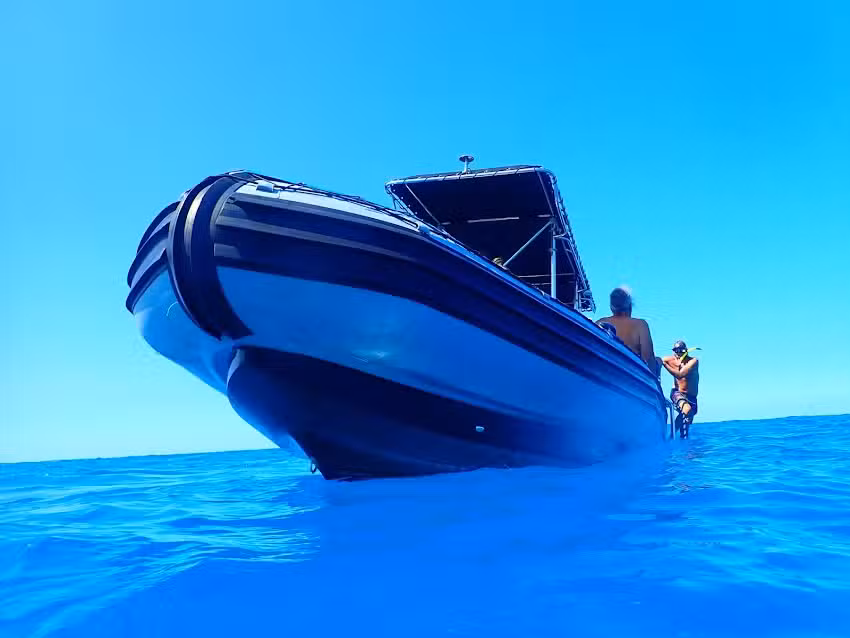 Kona Coastline Tours