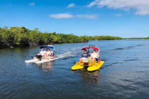 KoolCat Eco Tours, Inc