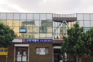 Korea Travel International