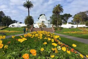 L’Esprit San Francisco LLC