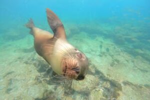 L&L Discovery – Dream Vacations