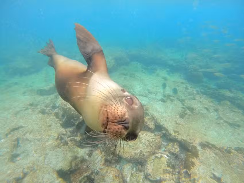 L&L Discovery &ndash; Dream Vacations