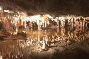 L&L Travel Washington D.C.