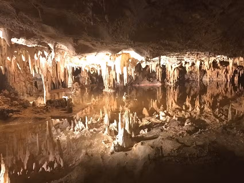 L&L Travel Washington D.C.