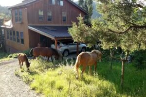 La Junta Guest Ranch