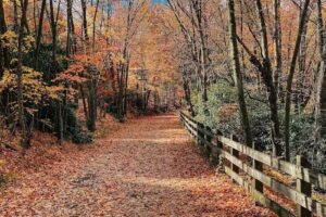 Lackawanna Heritage Valley NHA Headquarters
