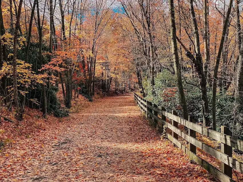 Lackawanna Heritage Valley NHA Headquarters