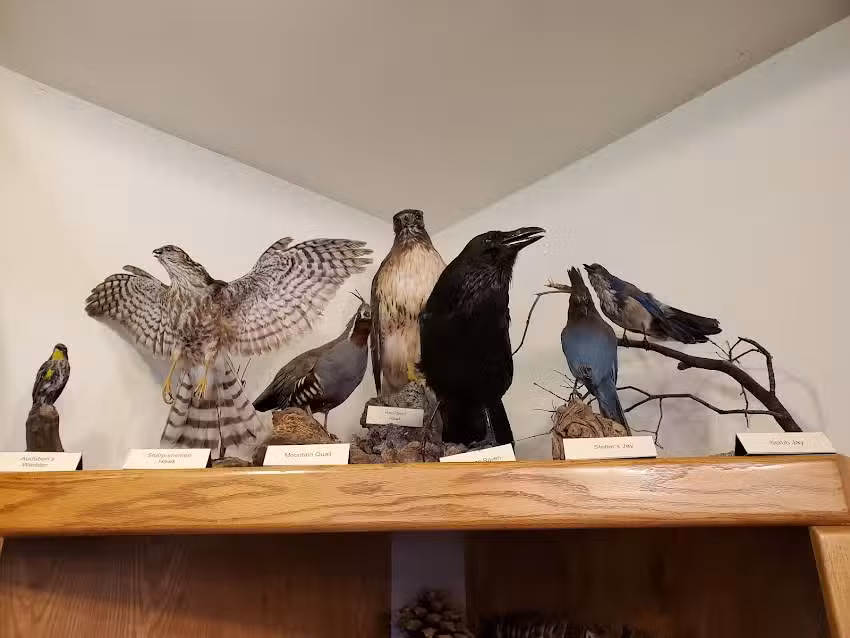 Laguna Mountain Visitor Center