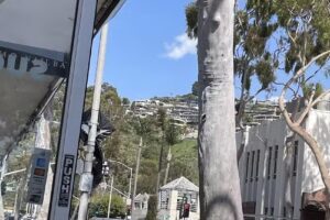 Laguna Travel Services