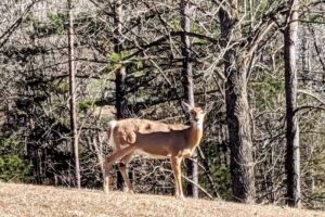 Lake Cumberland Tourist Center