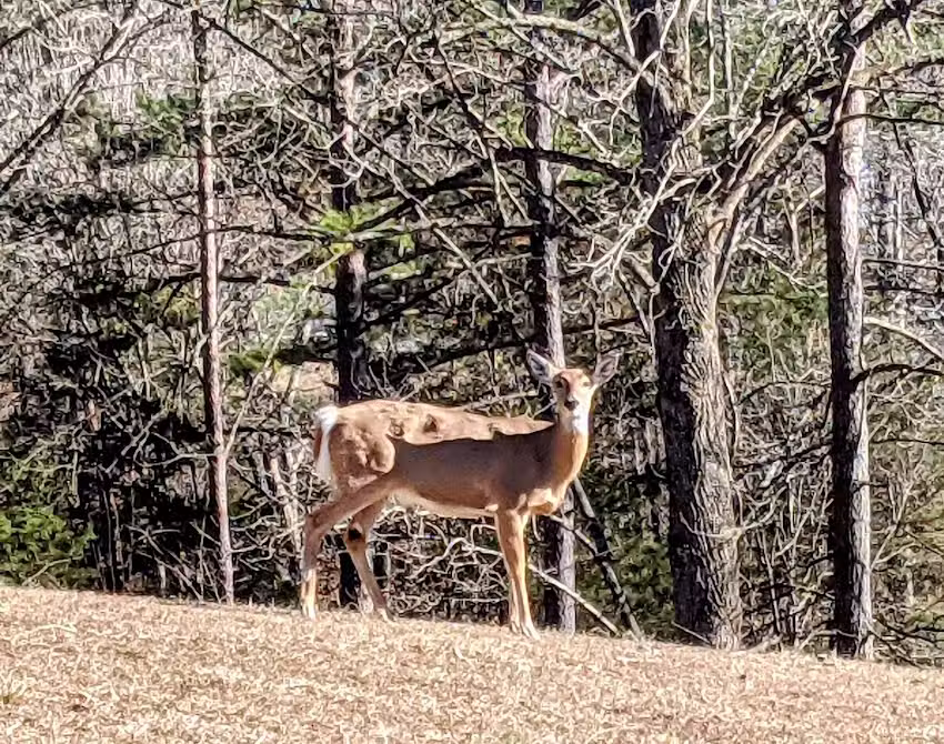 Lake Cumberland Tourist Center