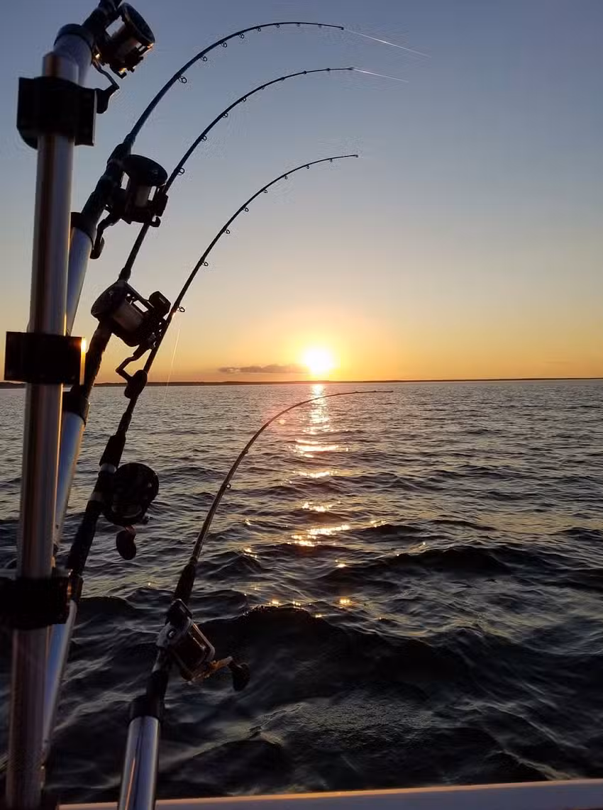 Lake Effect Charters