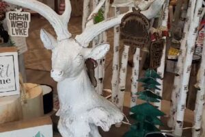 Lake Effect Co. Greenwood Lake Tourist Information and Adventures Concierge