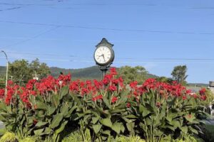 Lake George Village Information Center