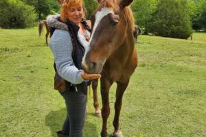 Lake Glendale Stables & Equestrian Center