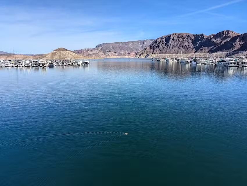 Lake Mead Cruises