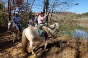 Lake Meadow Farm & Stables