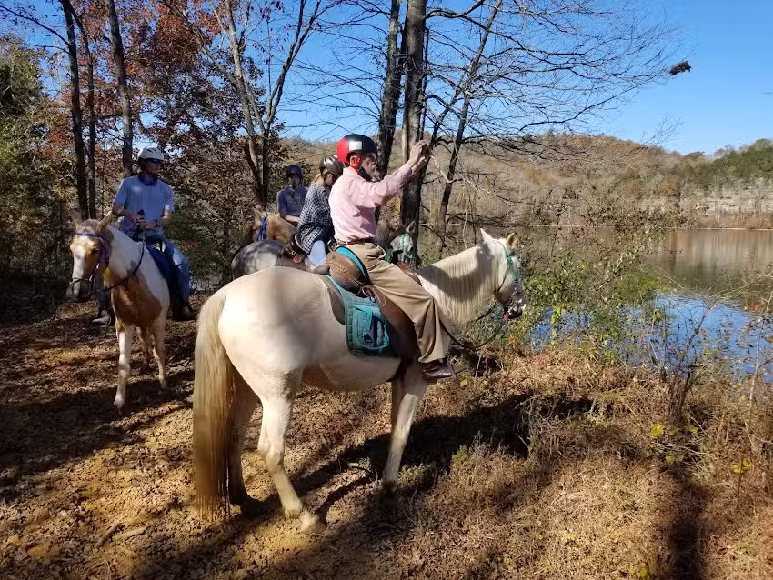 Lake Meadow Farm & Stables