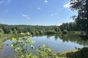 Lake of the Ozarks Trail Rides