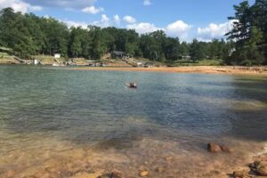 Lakeshore Cabins & RV