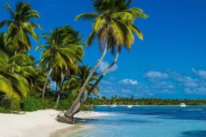 Lakeshore Travel Service Inc