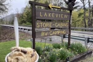 Lakeview Store LLC. Cabins and RV Camping
