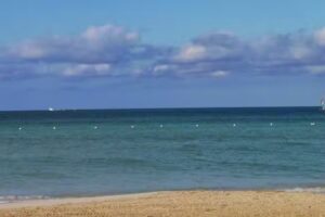 Lakewood Travel Bureau Inc